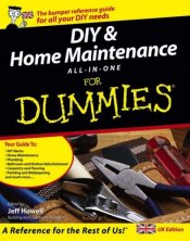 DIY for Dummies Book