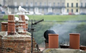 Chimney Leak