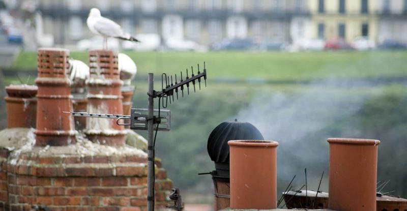 Chimney Leak